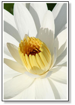 don koebrich photography